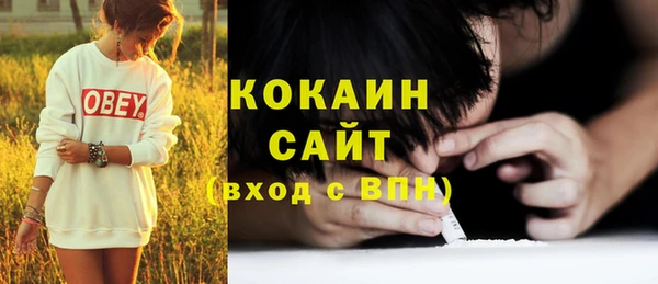 дживик Касимов