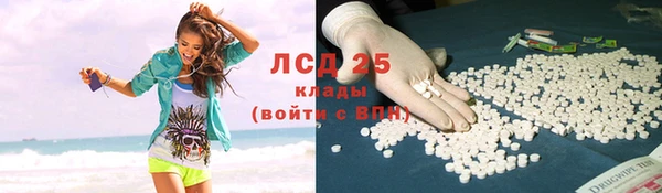 ПСИЛОЦИБИНОВЫЕ ГРИБЫ Карталы