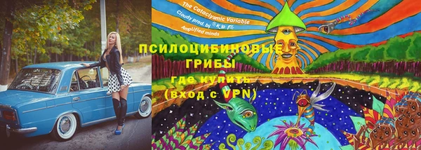 дживик Касимов