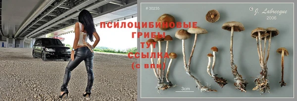 гашиш Каменка